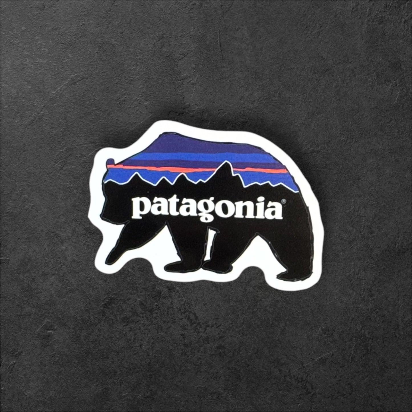 Patagonia Bear