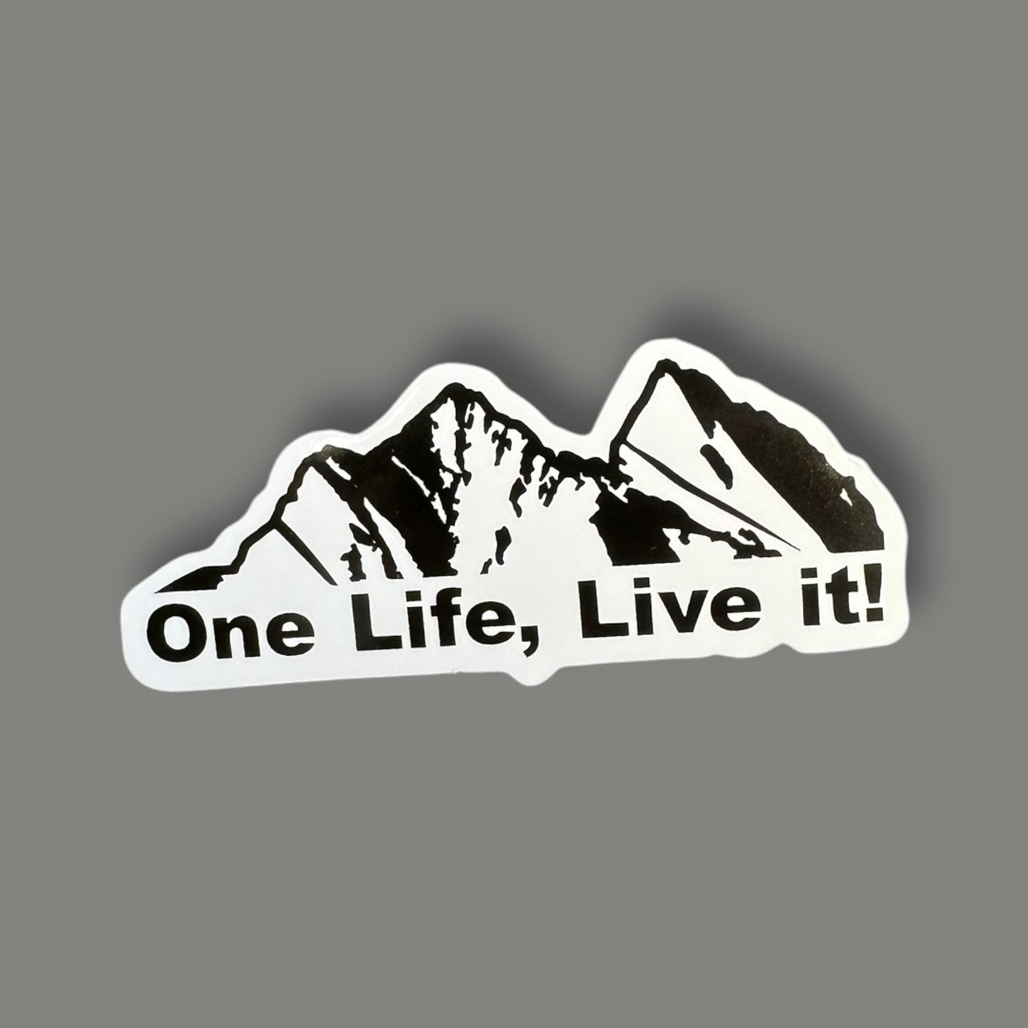 One Life sticker