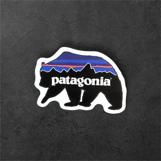 Patagonia Bear