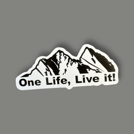 One Life sticker